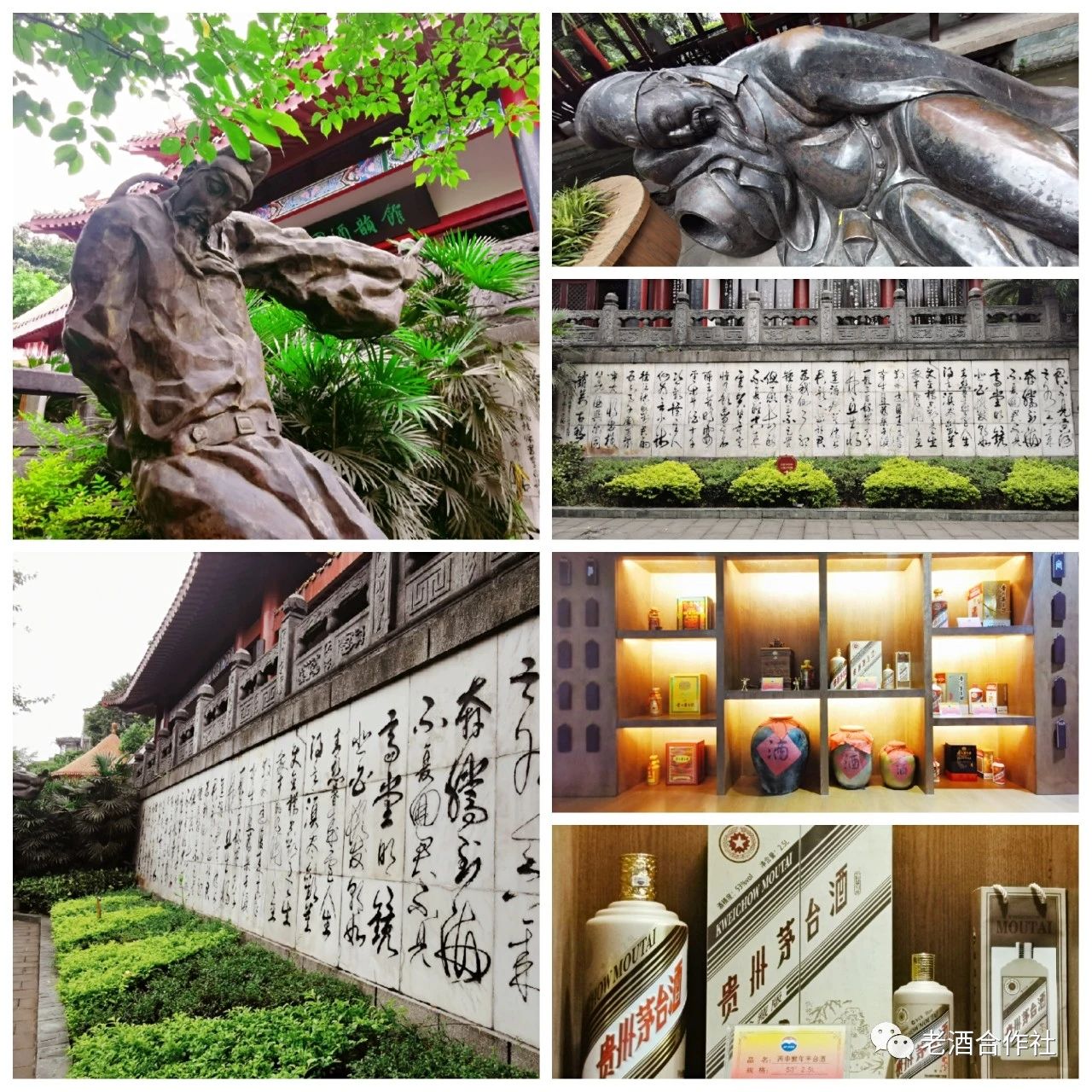 第五期老酒合作社茅台酱香老酒文化之旅 