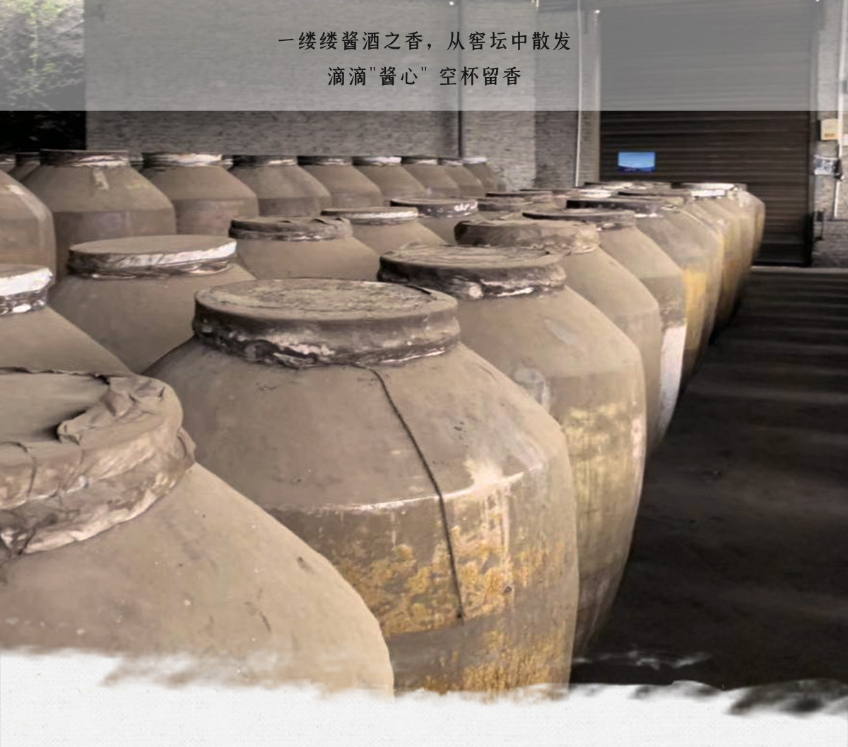 同坤酒业,同坤老酒,老酒合作社,30年老酒,陈年老酒